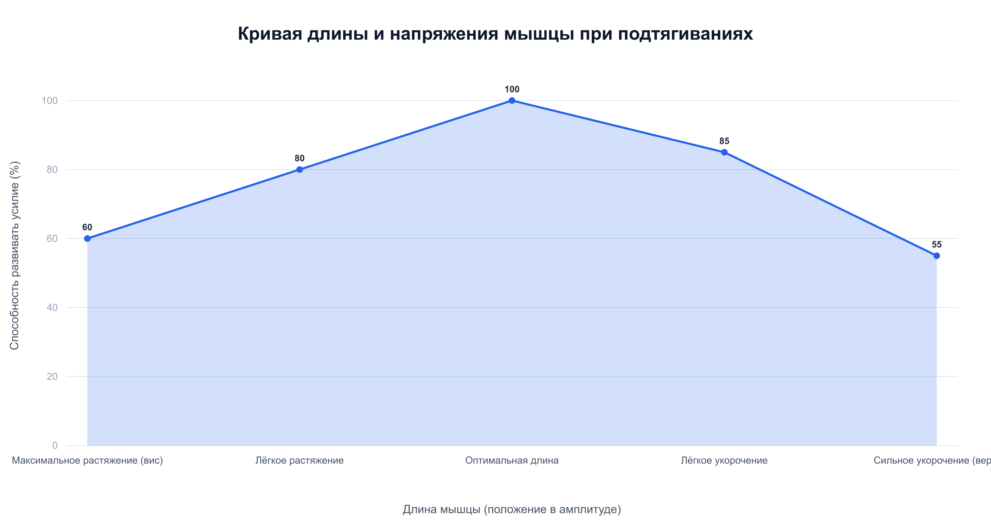 Кривая напряжения мышцы при подтягиваниях — максимум усилия в средней части амплитуды, минимум на краях