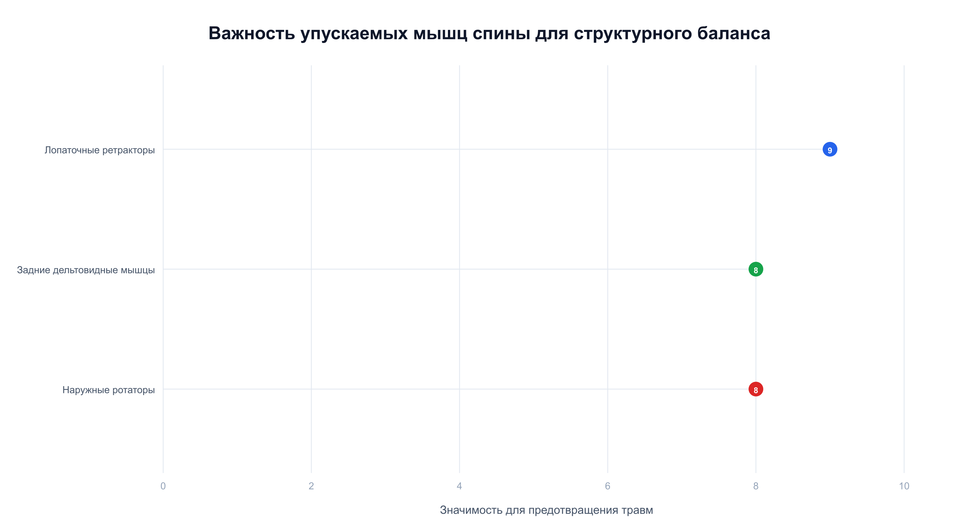 Структурный баланс плеча: рейтинг важности трёх упускаемых стабилизирующих мышц спины