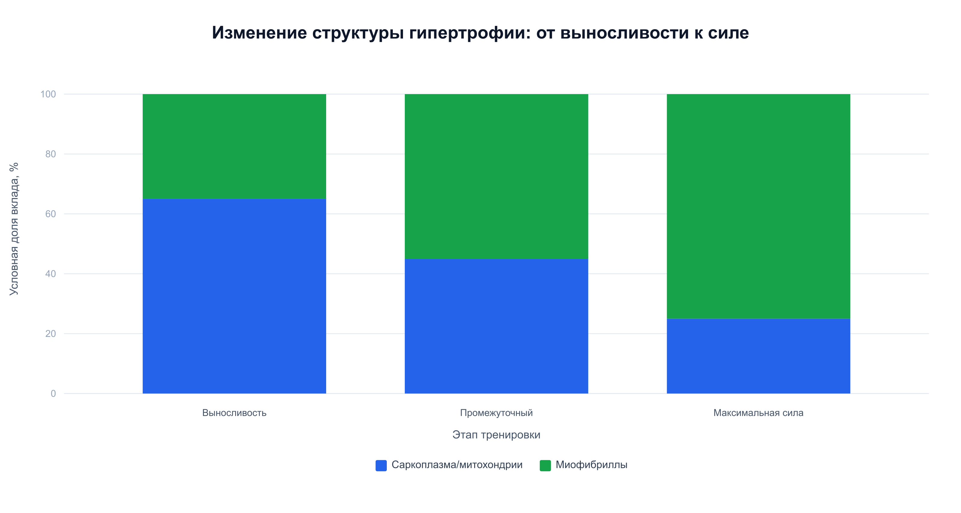 Условное изменение структуры гипертрофии при переходе от выносливости к максимальной силе
