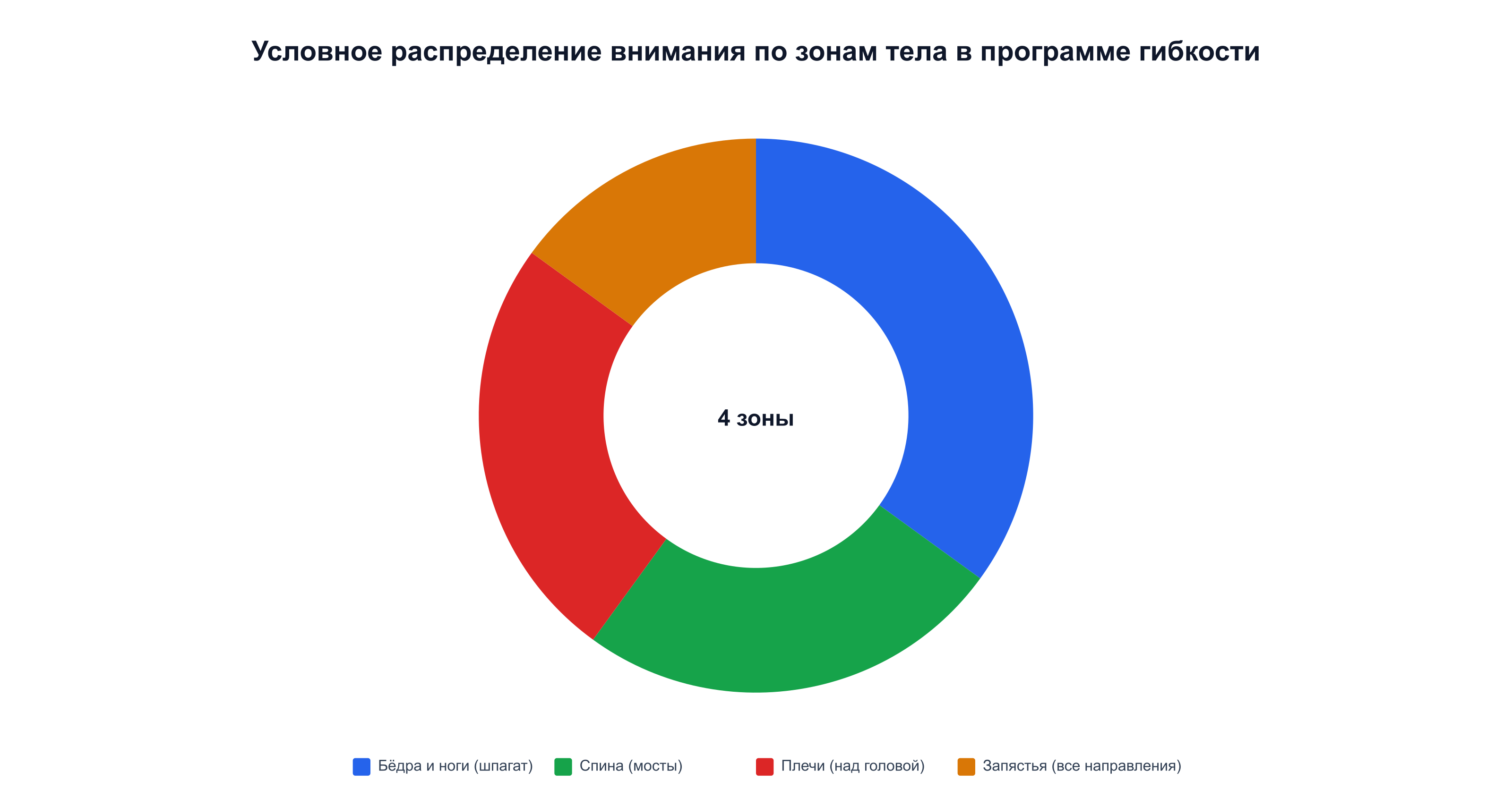Условное распределение зон работы: бёдра, спина, плечи, запястья по программе гибкости